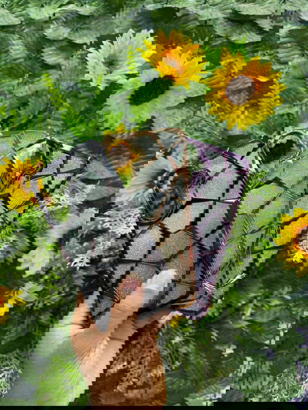 جراب كـريـسـتـال (فـري) Image 4 Preview