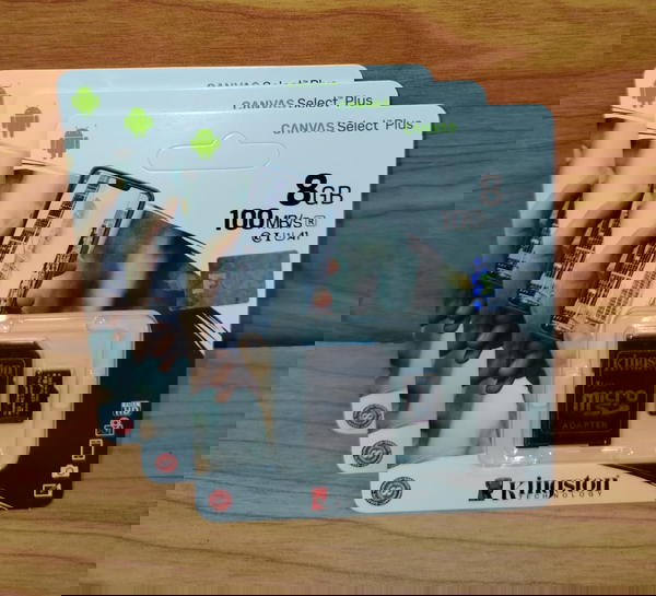 كارت ميموري 8 جيجا كوبي ضمان سنة Kingston Image 1 Preview
