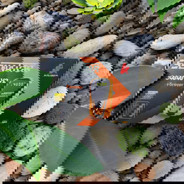 سيناتور 4040 Image 1 Preview