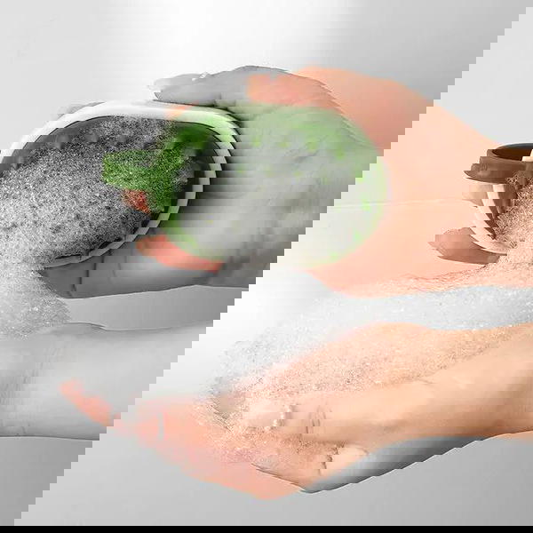 Hair Care / Massage Brush مساج لفروة الرأس و تدليك الزيوت و الشامبو  Image 3 Preview