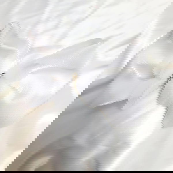 HeadBand / White band طوق ابيض فيونكة سترس Image 1 Preview