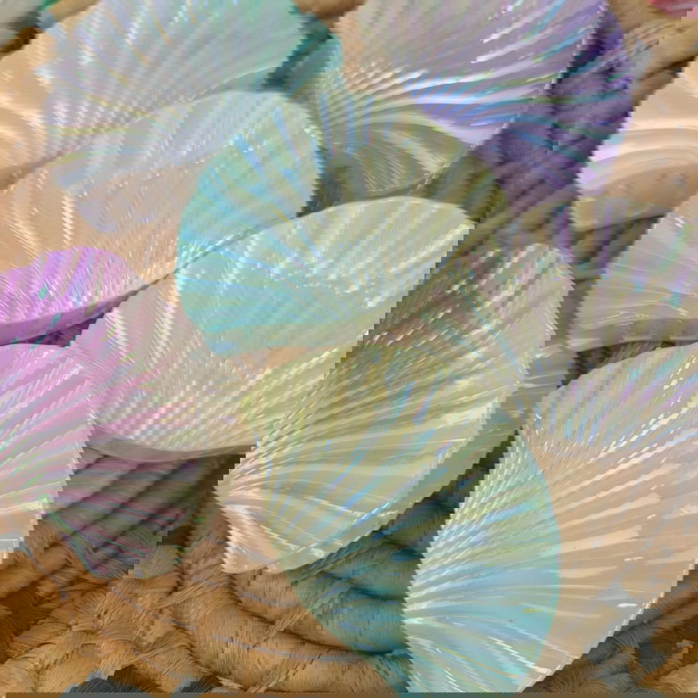 hair claws/big shell hair claw- كلبس شعر علي شكل صدف حجم كبير Preview Image