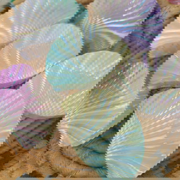 hair claws/big shell hair claw- كلبس شعر علي شكل صدف حجم كبير Image 1 Preview