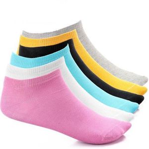 Socks / دسته شرابات كاملة بخصم مميز و مقاسات من اختيارك  Image 1 Preview