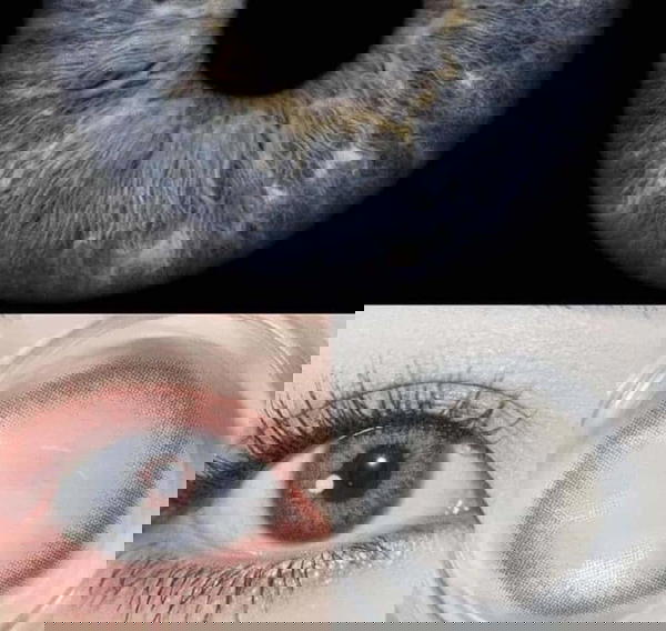 Blue Gray - Freshlady Image 2 Preview