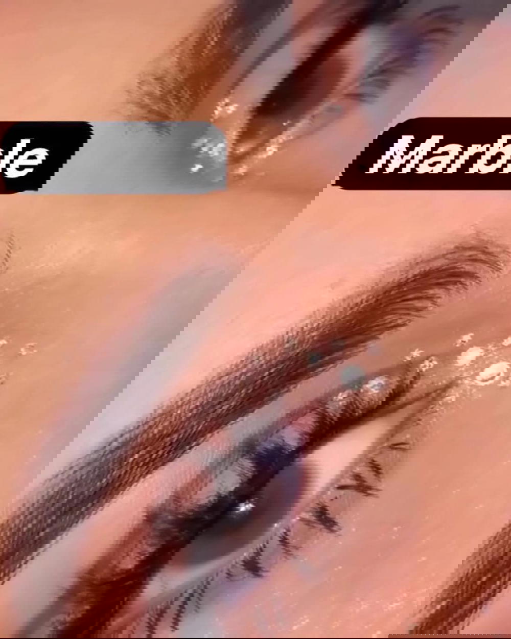 Marbel Preview Image