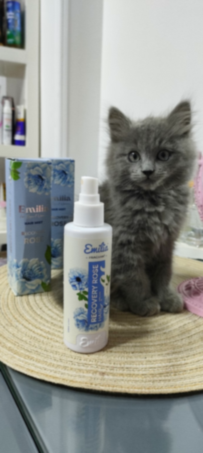 emilia hair mist Preview Image