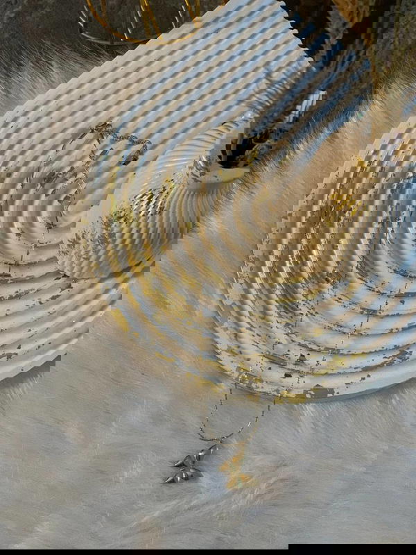 سلسله فراشه  Image 1 Preview