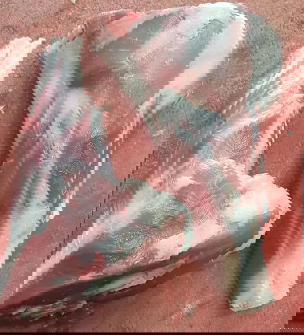 موزه ضانى  Image 1 Preview