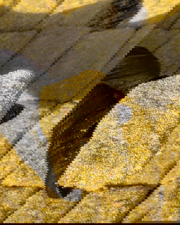 ناجتس  Image 1 Preview