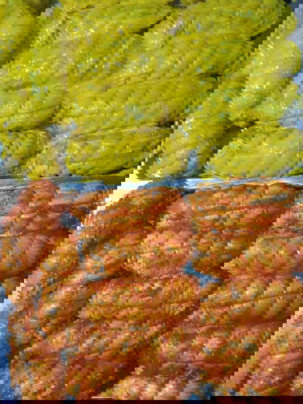 صدور رستو (٥٠٠جرام )  Image 3 Preview