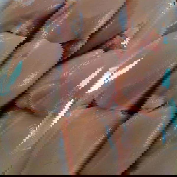 شيش فريش (٥٠٠جرام)  Image 1 Preview