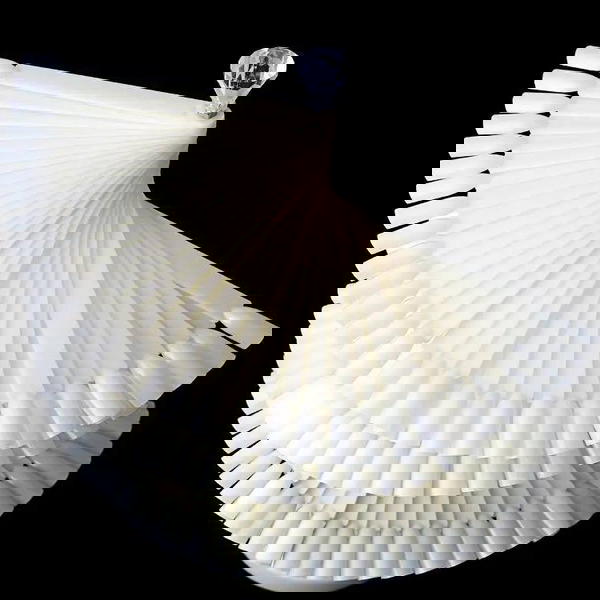عارضة جلش ١٢٠ لون Image 2 Preview