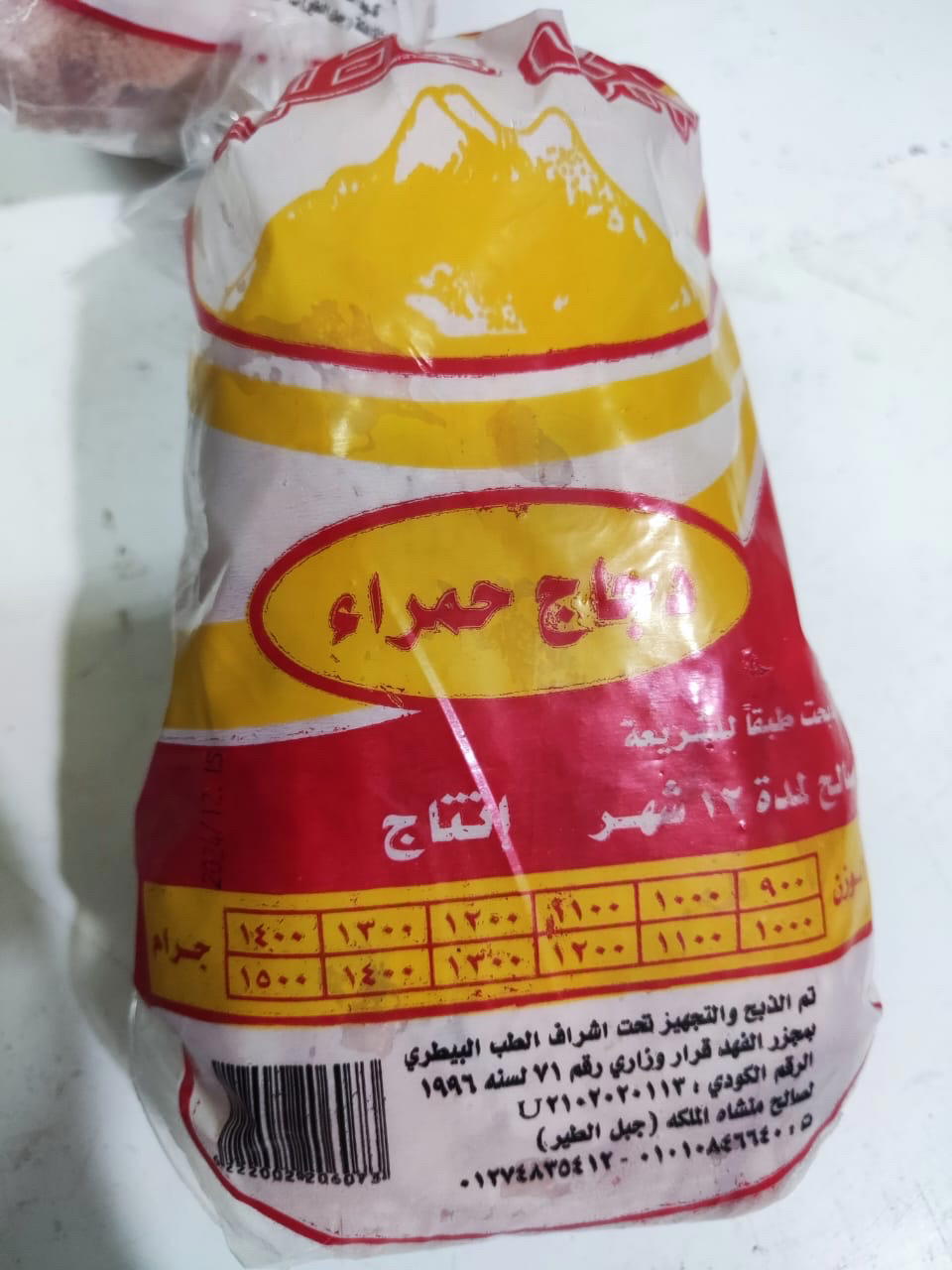 دجاج حمراء العذراء جبل الطير  Preview Image