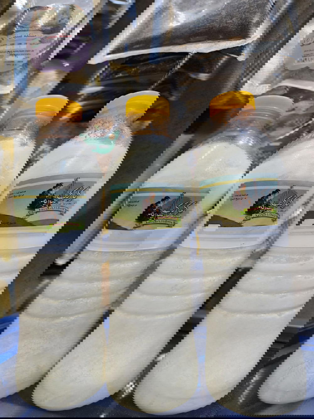 حليب كامل الدسم 1 لتر كوكب البرية  Preview Image