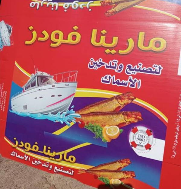 رنجة سايبة مدخنة مارينا بالكيلو  Image 3 Preview