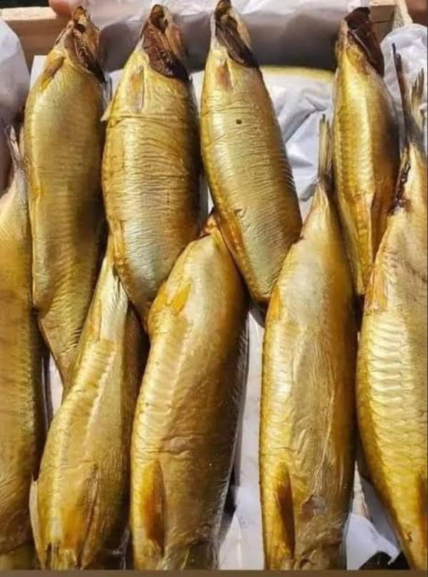 رنجة سايبة مدخنة مارينا بالكيلو  Image 4 Preview