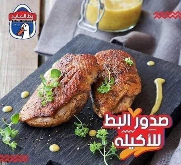 صدور بط العابد بل سعر الكيلو Preview Image