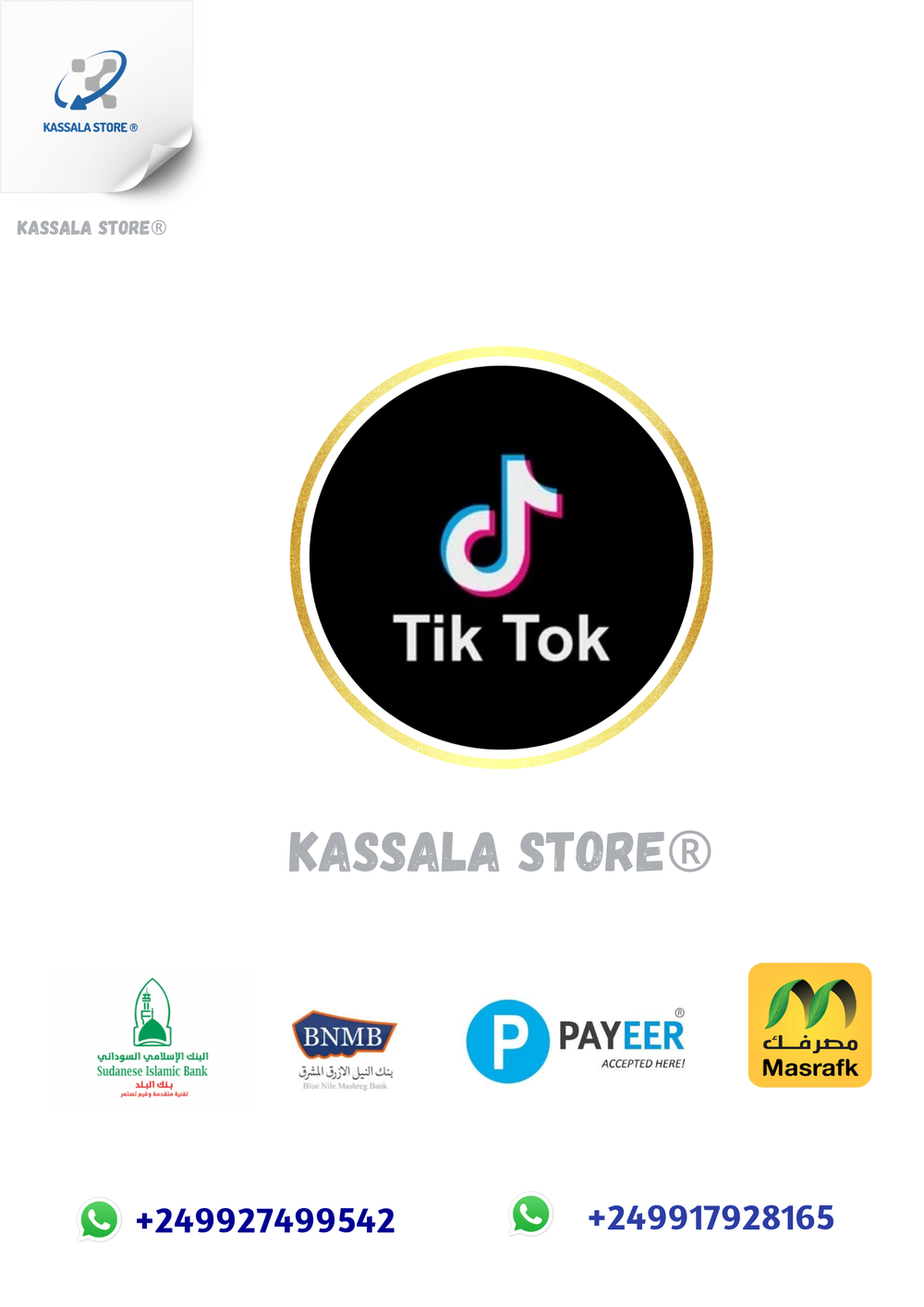 TikTok Preview Image