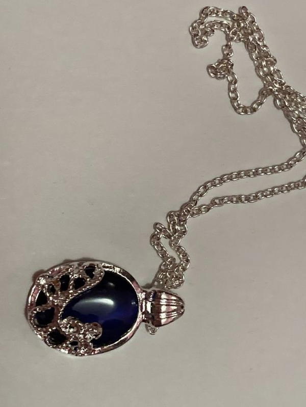 vampire diaries necklace 🕸️ Image 2 Preview