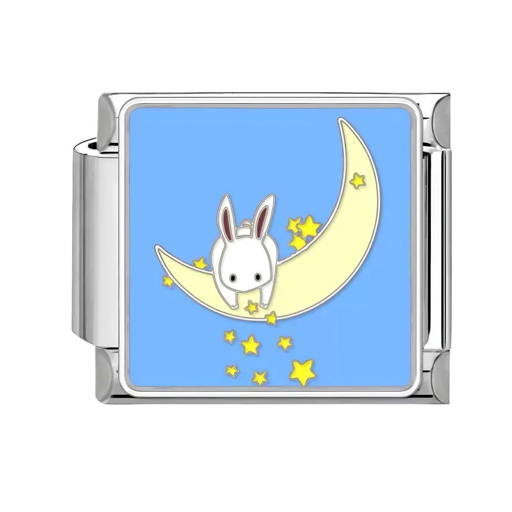 bunny on the moon Preview Image