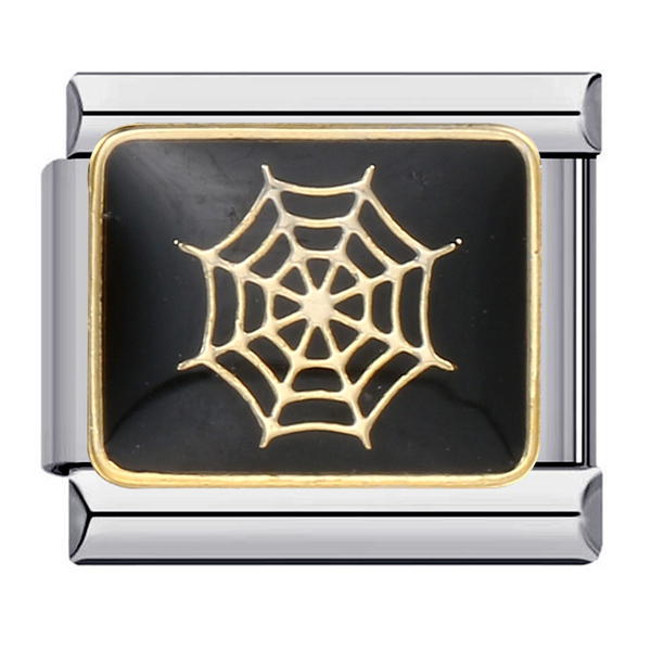 Spider web  Image 1 Preview