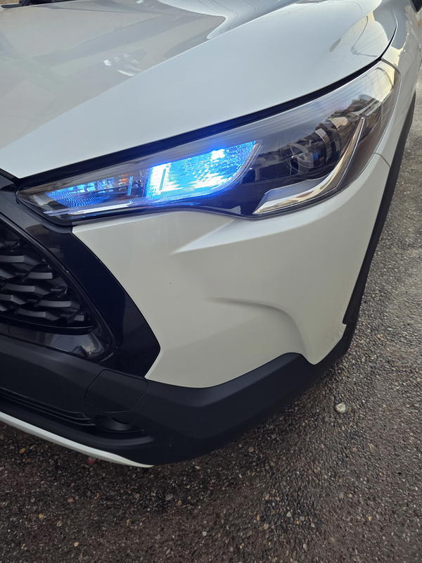 لد نهاري بالوان متعددة (حجز مسبق) Image 1 Preview