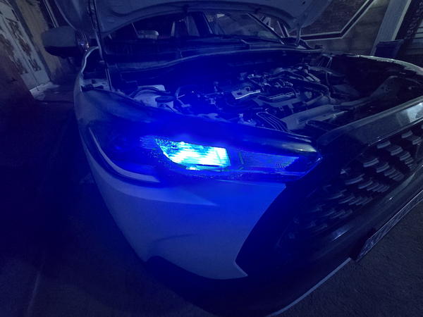 لد نهاري بالوان متعددة (حجز مسبق) Image 2 Preview