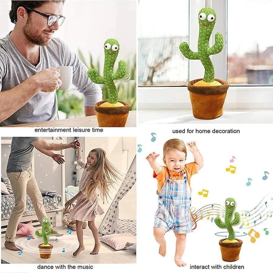الصباره الراقصه Preview Image