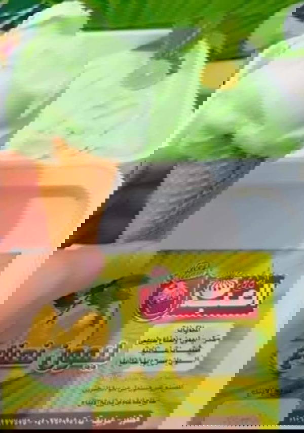 ليمون بالنعناع 3 لتر  Image 1 Preview