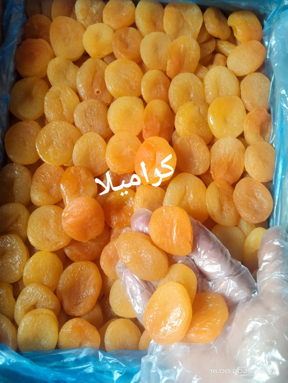 مشمشيه كبيره الكيس 125 جرام  Preview Image