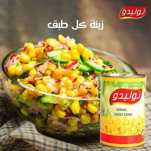 ذره توليدو 400 جرام  Image 1 Preview