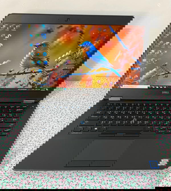 Dell Latitude E5470 لابتوب مناسب للدراسة والأعمال المكتبية وبرامج الاوفس من الجيل السادس Image 5 Preview