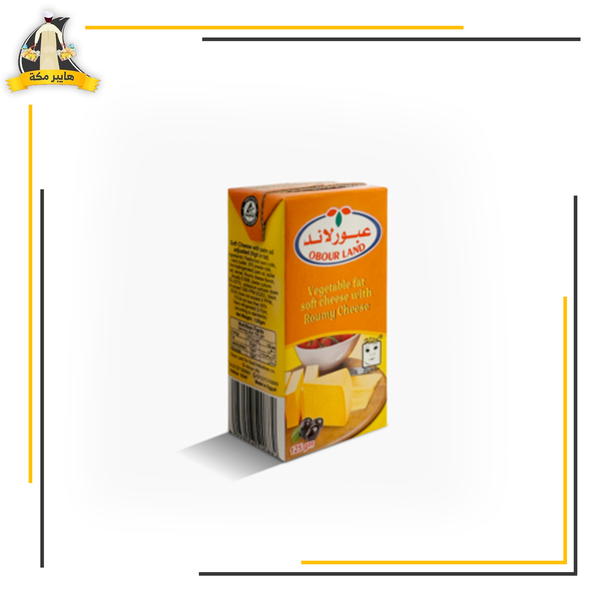جبنه عبور لاند 125ج Image 3 Preview