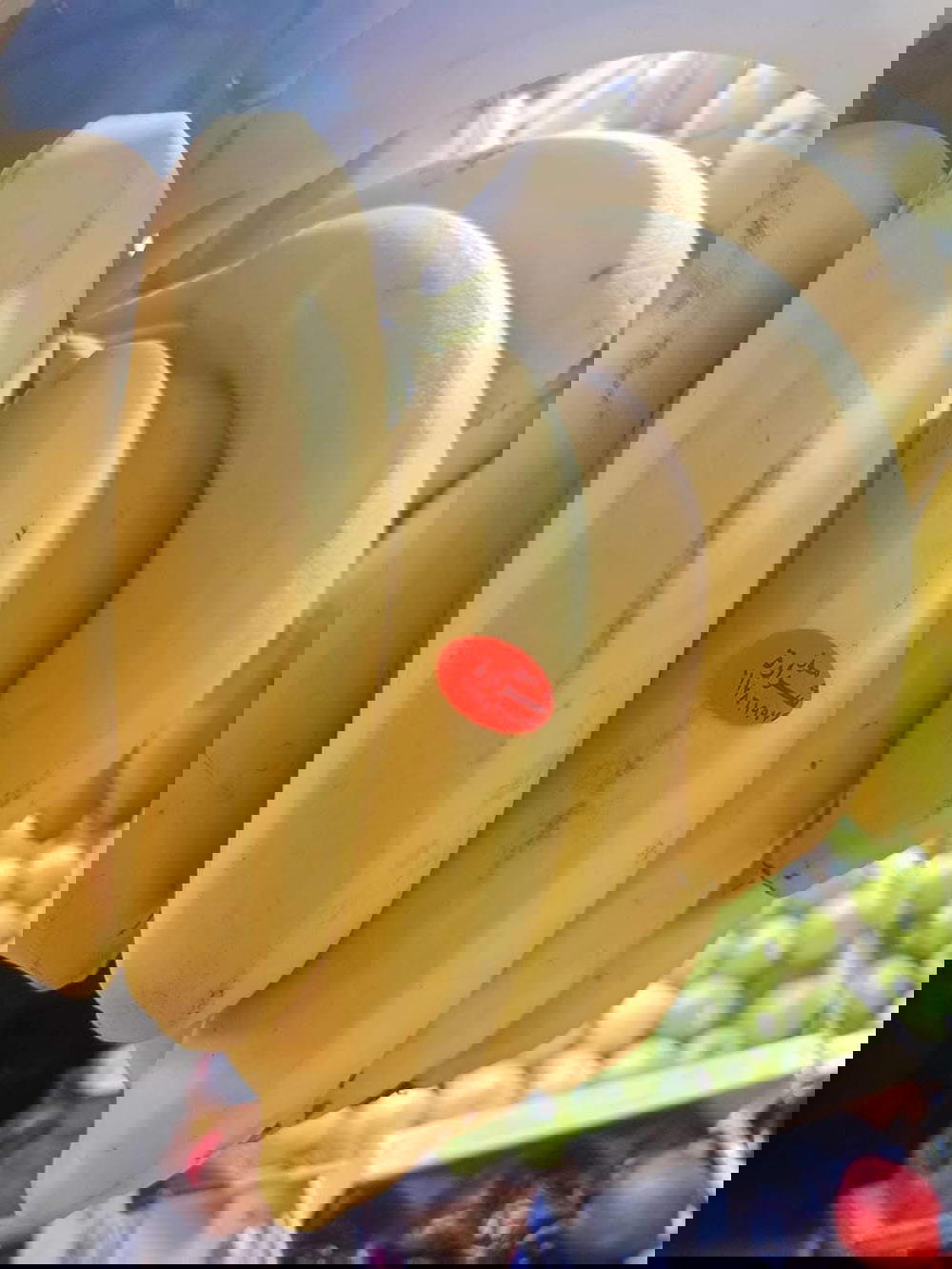 موز بلدي  Preview Image