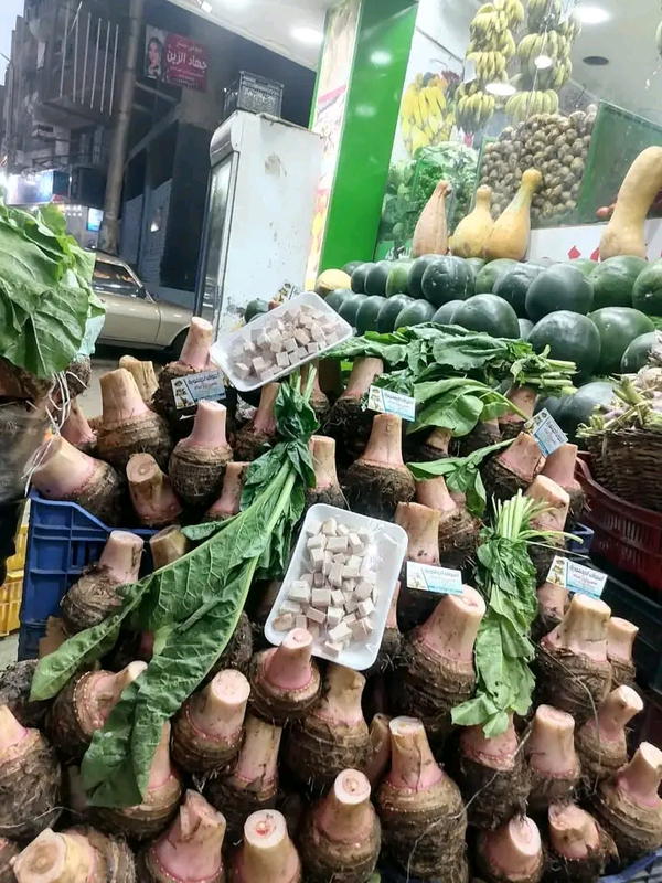 قلقاس مصري Image 1 Preview