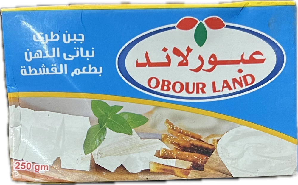 عبورلاند جبنة  قشطة ٢٥٠ جم Preview Image
