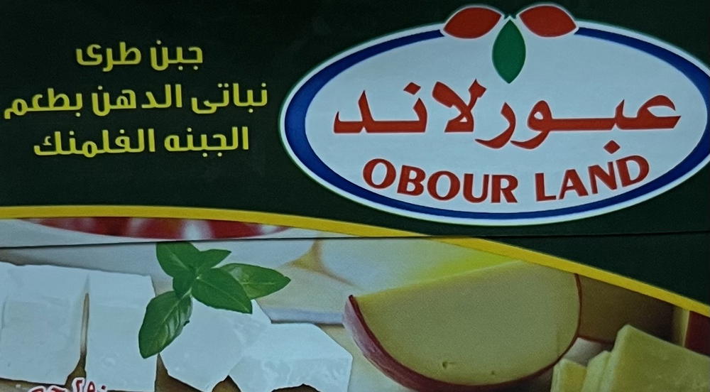 عبورلاند جبنة بطعم الفلمنك ٢٥٠ جم Preview Image