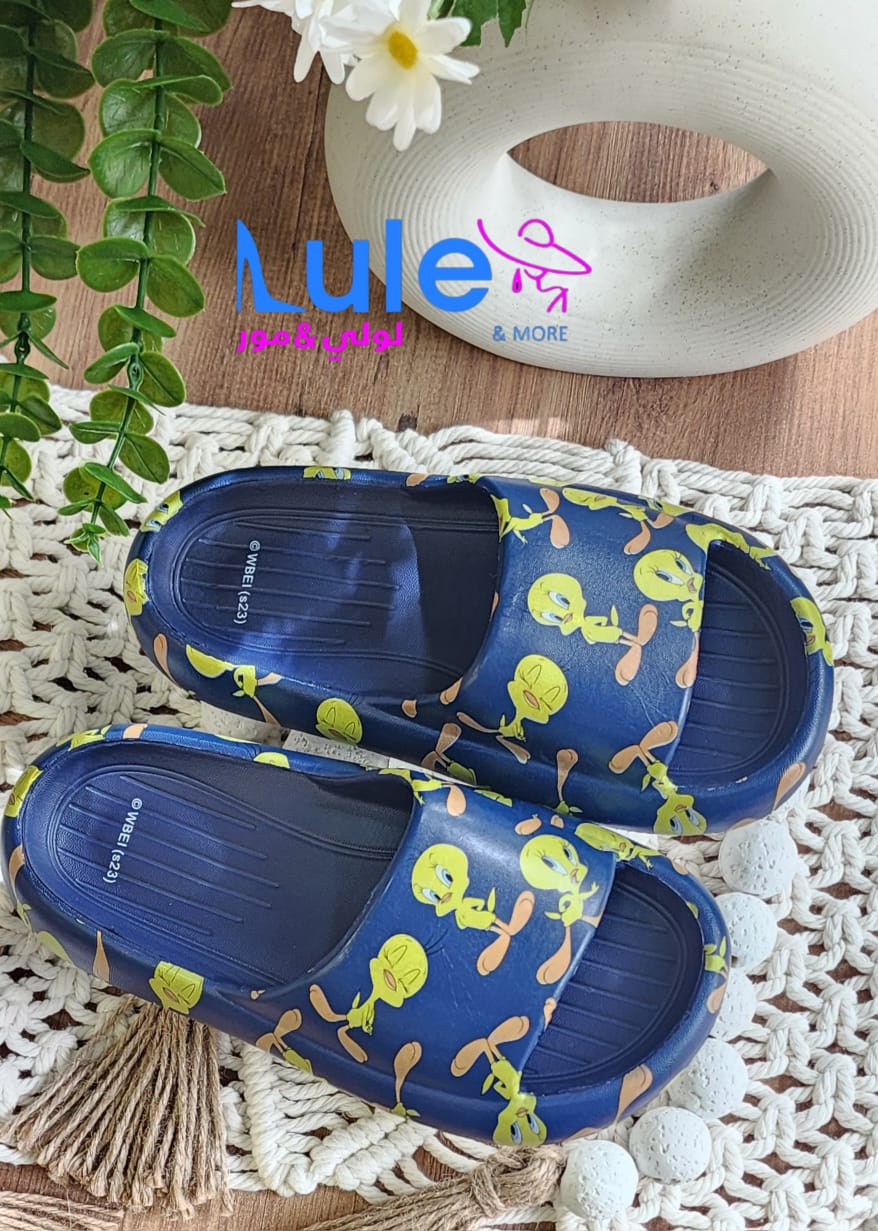 سليبر دزني  Preview Image