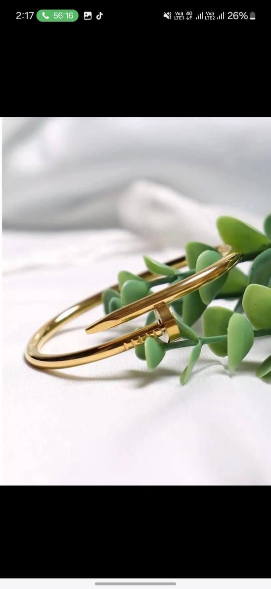 Nail Bangle B5 Image 3 Preview