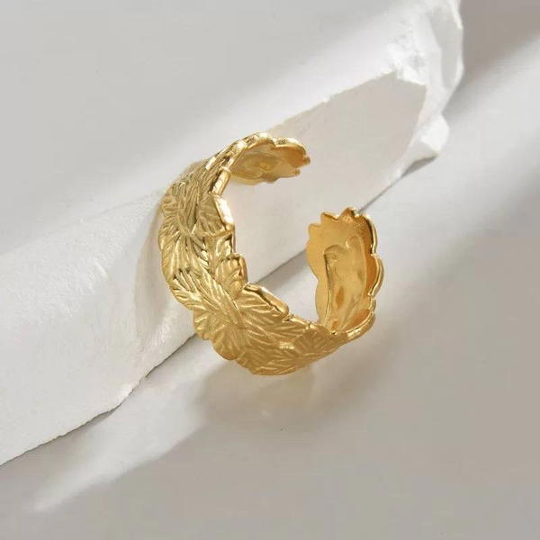 Ring R40 Image 3 Preview