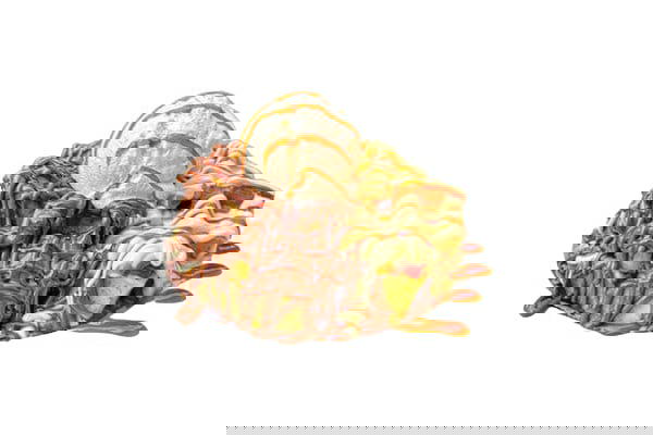 Waffle Nighty Lighty Image 1 Preview