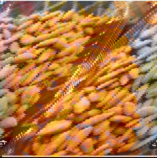 لب مقشر بطعم الجبنه والشطه والكاتشب Image 3 Preview