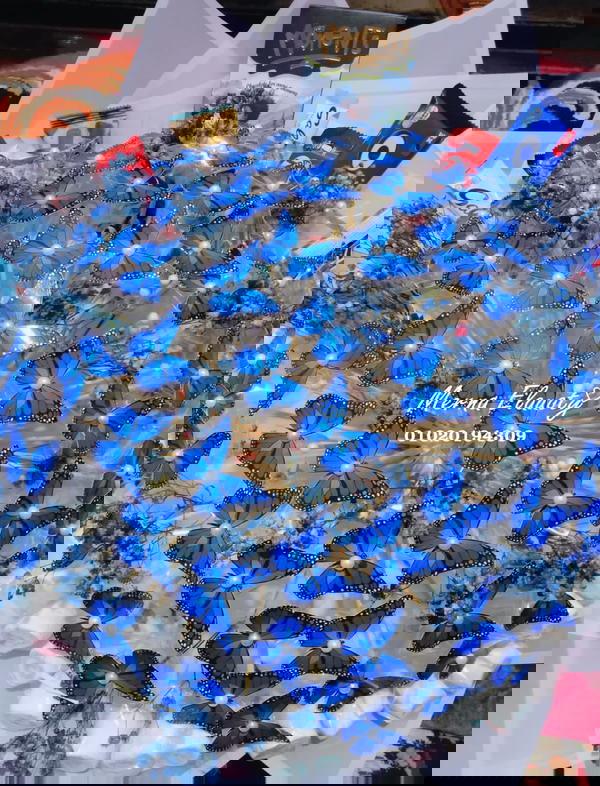 أكبر بوكية فراشات 💙🦋 Image 2 Preview