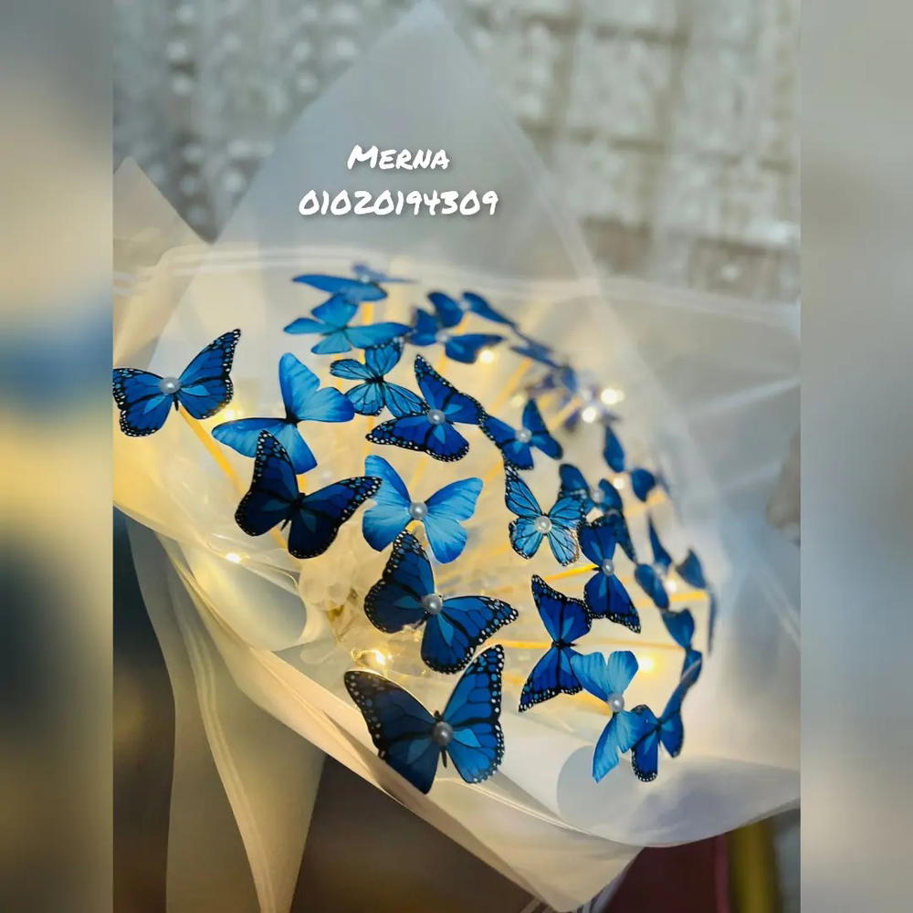 بوكية فراشات 🦋 Preview Image