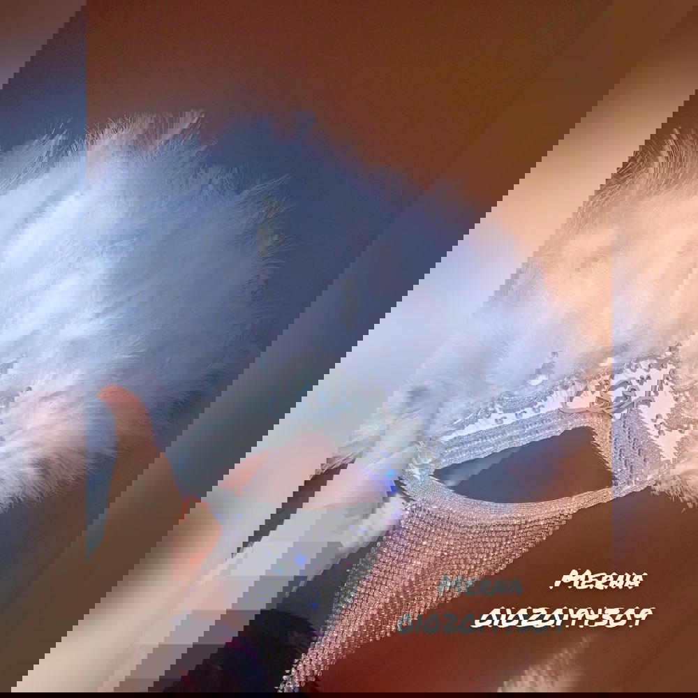 مروحة عروسة بإسم أروي 🎀 Preview Image