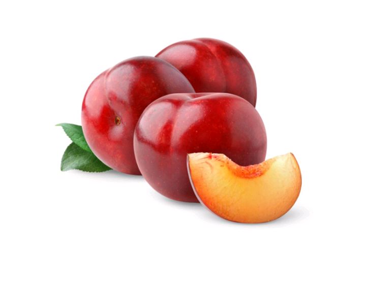 برقوق سانتلوزا  Preview Image