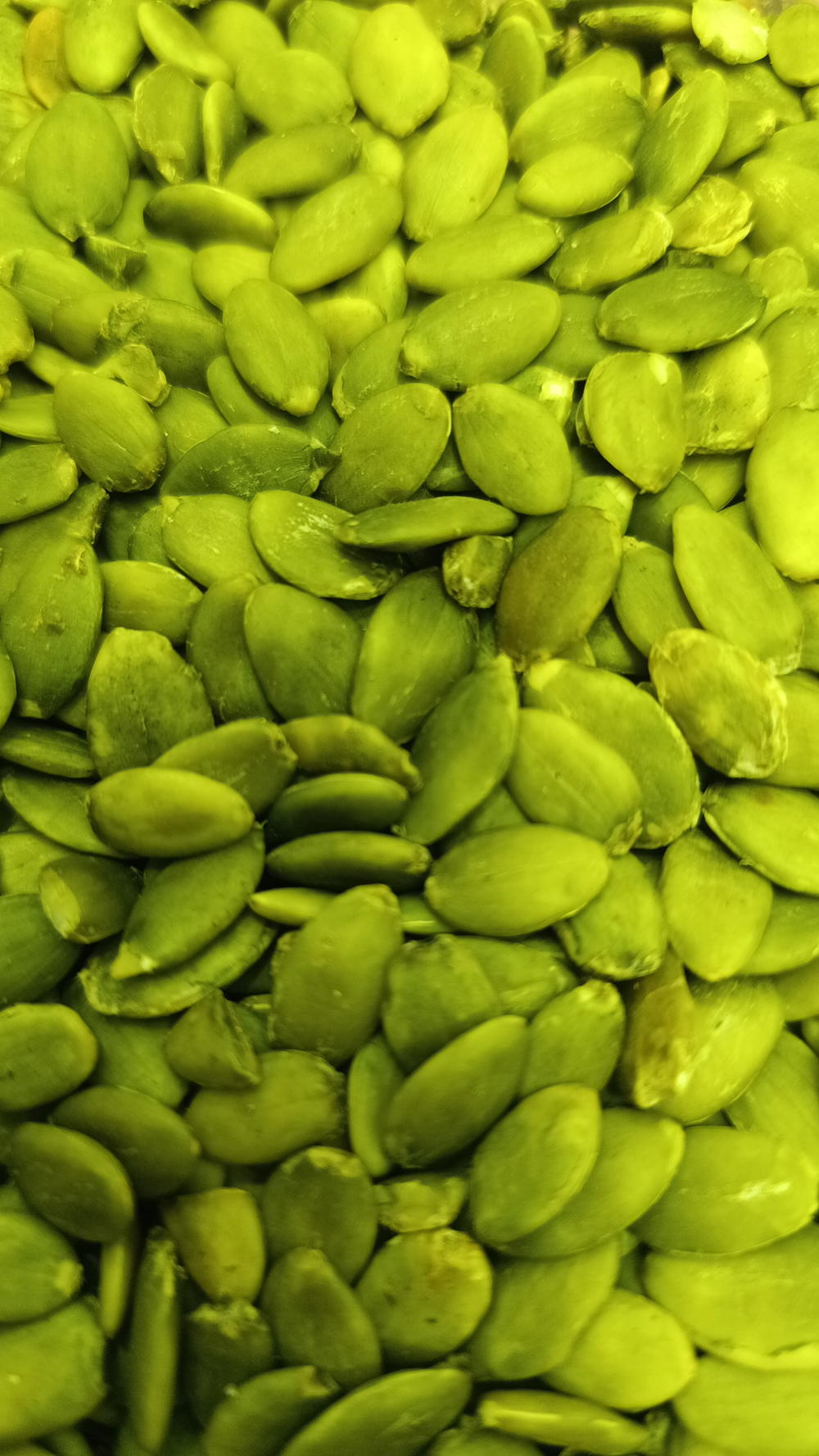 بزور لب يقطين  Preview Image