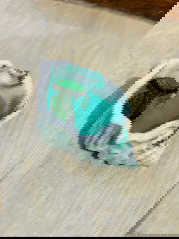 شمعة الصدفة✨ (أخضر) Image 1 Preview
