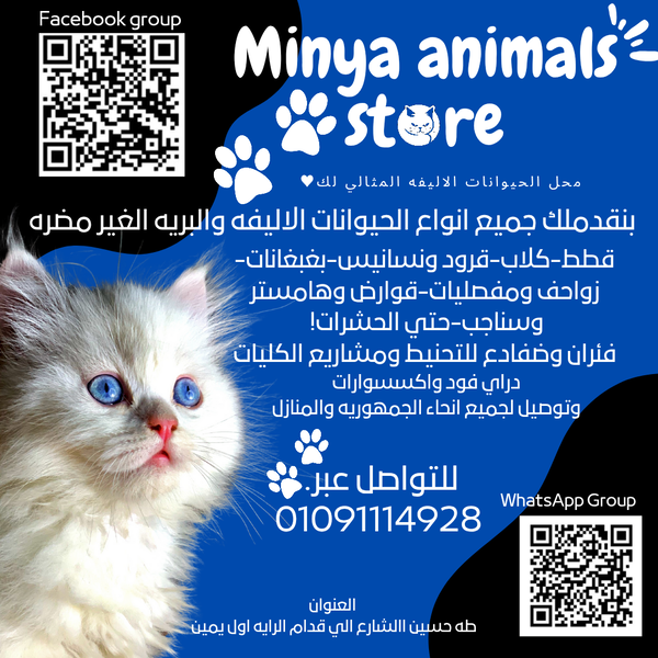 Minya animals Logo